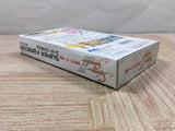 UF4751 Silva Saga 2 The Legend of Light&Darkness Boxed Super Famicom SNES Japan