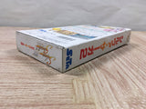 UF4751 Silva Saga 2 The Legend of Light&Darkness Boxed Super Famicom SNES Japan