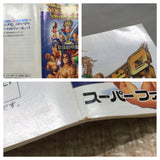 UF4774 Hiryuu no Ken S Golden Fighter Boxed Nintendo Super Famicom SNES Japan