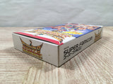 UF4774 Hiryuu no Ken S Golden Fighter Boxed Nintendo Super Famicom SNES Japan