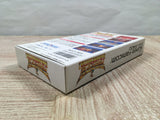 UF4774 Hiryuu no Ken S Golden Fighter Boxed Nintendo Super Famicom SNES Japan