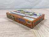 UF4816 Zatch Bell! Gash Unare! 2 Boxed Nintendo GameBoy Advance Japan