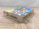 UF4817 Tomato Adventure Boxed Nintendo GameBoy Advance Japan