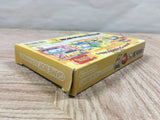 UF4817 Tomato Adventure Boxed Nintendo GameBoy Advance Japan