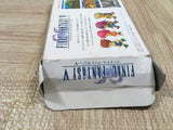 UF4839 Final Fantasy 5 V Boxed Nintendo Super Famicom SNES Japan