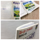 UF4905 New3D Golf Simulation Pebble Beach NoHatou Boxed Super Famicom SNES Japan