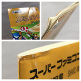 UF4922 Yoshi no Road Hunting Yoshi's Safari Boxed Super Famicom SNES Japan