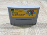 UF4922 Yoshi no Road Hunting Yoshi's Safari Boxed Super Famicom SNES Japan