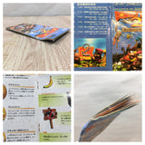 UF4927 Super Donkey Kong Country 2 Boxed Nintendo Super Famicom SNES Japan