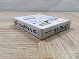 Ring Rage Boxed Nintendo GameBoy Japan - UF5008