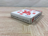 Ring Rage Boxed Nintendo GameBoy Japan - UF5008