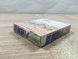 F-1 Hero GB Boxed Nintendo GameBoy Japan - UF5009