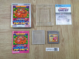 Kirby Block Ball Boxed Nintendo GameBoy Japan - UF5013