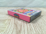 Kirby Block Ball Boxed Nintendo GameBoy Japan - UF5013