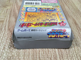 Kirby Block Ball Boxed Nintendo GameBoy Japan - UF5013