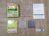 Pocket Love 2 Boxed Nintendo GameBoy Japan - UF5015