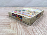 Lode Runner Domu Domu Dan no Yabou Boxed Nintendo GameBoy Japan - UF5018