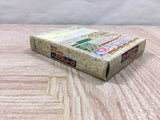 Lode Runner Domu Domu Dan no Yabou Boxed Nintendo GameBoy Japan - UF5018