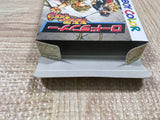 Lode Runner Domu Domu Dan no Yabou Boxed Nintendo GameBoy Japan - UF5018