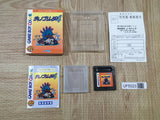 Dino Breeder 4 Boxed Nintendo GameBoy Japan - UF5023