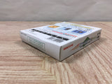 Zen-Nippon Shounen Soccer Taikai Boxed Nintendo GameBoy Japan - UF5028