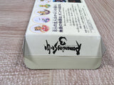 Romancing Sa Ga 3 Boxed Nintendo Super Famicom SNES Japan - UF5060