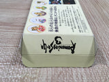Romancing Sa Ga 3 Boxed Nintendo Super Famicom SNES Japan - UF5061