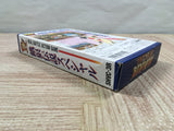 Fatal Fury Special Boxed Nintendo Super Famicom SNES Japan - UF5078