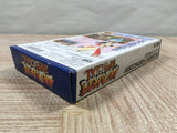 Fatal Fury Special Boxed Nintendo Super Famicom SNES Japan - UF5078