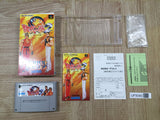 Art Of Fighting 2 Boxed Nintendo Super Famicom SNES Japan - UF5080