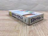 3D Golf Simulation Pebble Beach NoHatou Boxed Super Famicom SNES Japan - UF5092