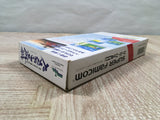 3D Golf Simulation Pebble Beach NoHatou Boxed Super Famicom SNES Japan - UF5092
