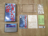 Banshee's Last Cry Kamaitachi no Yoru Boxed Super Famicom SNES Japan - UF5095