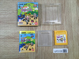 Tamagotchi 2 Boxed Nintendo GameBoy Japan - UF5108