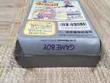Super Mario Land 2 6 Golden Coins Boxed Nintendo GameBoy Japan - UF5110