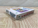 Dragon Quest Monsters Terry Boxed Nintendo GameBoy Japan - UF5111