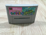 Super Mario World 2 Yoshi's Island Boxed Super Famicom SNES Japan - UF5135