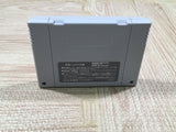 Yoshi no Road Hunting Yoshi's Safari Boxed Super Famicom SNES Japan - UF5141