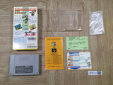 Yoshi no Road Hunting Yoshi's Safari Boxed Super Famicom SNES Japan - UF5141