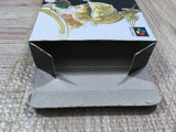 Romancing SaGa 2 Boxed Nintendo Super Famicom SNES Japan - UF5155