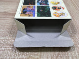 Romancing Sa Ga 3 Boxed Nintendo Super Famicom SNES Japan - UF5158