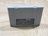 Daikaijuu Monogatari II 2 Boxed Nintendo Super Famicom SNES Japan - UF5161