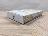 Mystery Dungeon Fushigi no Dungeon 2 Boxed Super Famicom SNES Japan - UF5169