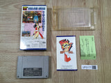 Fatal Fury Special Boxed Nintendo Super Famicom SNES Japan - UF5177