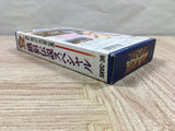 Fatal Fury Special Boxed Nintendo Super Famicom SNES Japan - UF5177