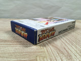 Fatal Fury Special Boxed Nintendo Super Famicom SNES Japan - UF5177