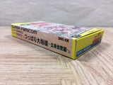 Tsuppari Oozumou Sumo Risshin Shusse Hen Boxed Super Famicom SNES Japan - UF5181