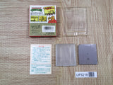 Teenage Mutant Ninja Turtles TMNT Boxed Nintendo GameBoy Japan - UF5218
