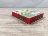 Teenage Mutant Ninja Turtles TMNT Boxed Nintendo GameBoy Japan - UF5218