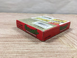 Teenage Mutant Ninja Turtles TMNT Boxed Nintendo GameBoy Japan - UF5218
